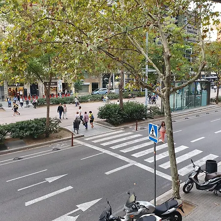 Pensión Aslyp 114 Barcelona